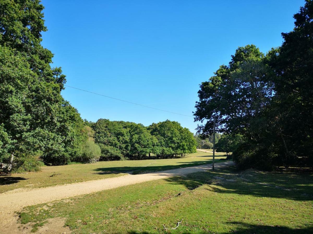 Pebble Bay Retreat Villa Milford on Sea Esterno foto
